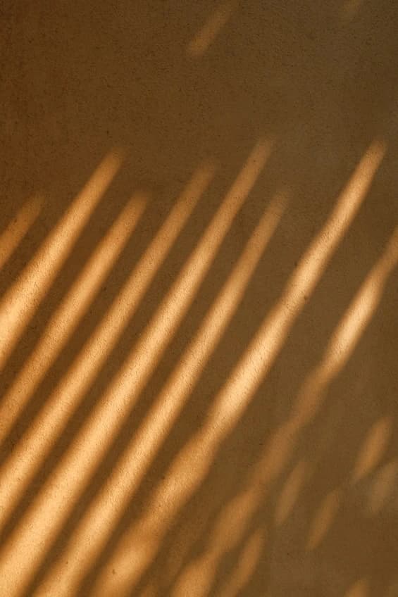 From Concept to Launch