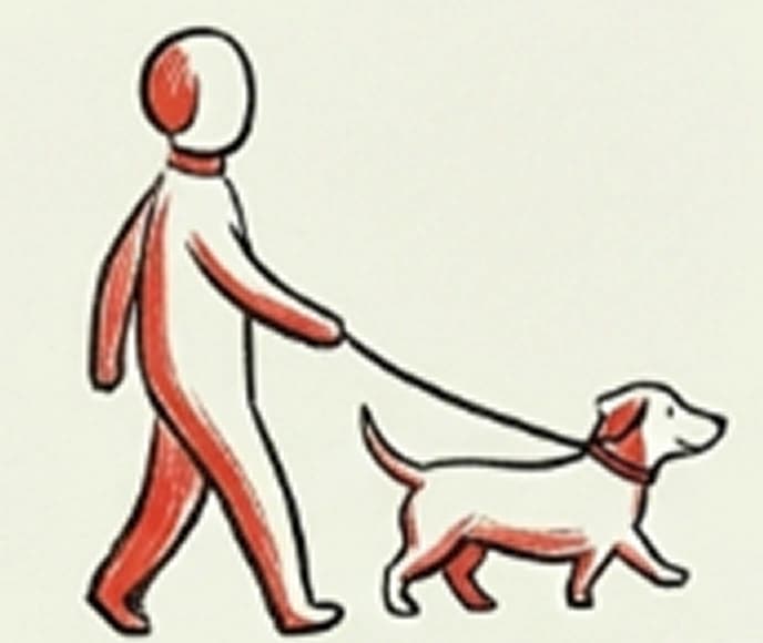 DOG WALKING